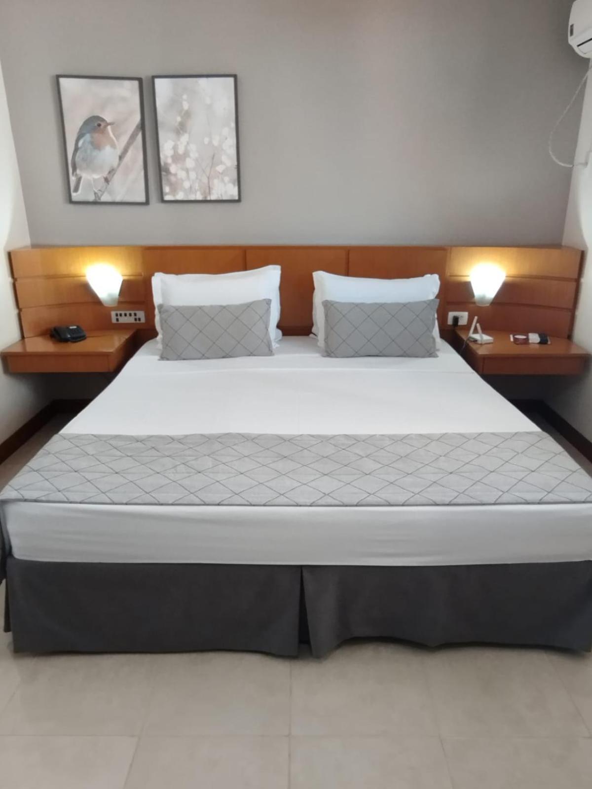 Hotel Copas Executive